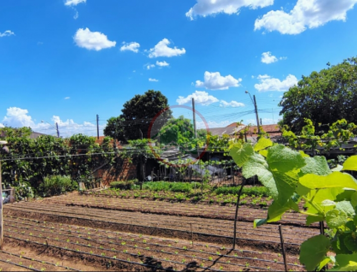 Aluga-se Terreno em BRABÂNCIA Avaré. Foto 3