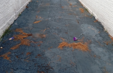 Casa para locação em Avaré